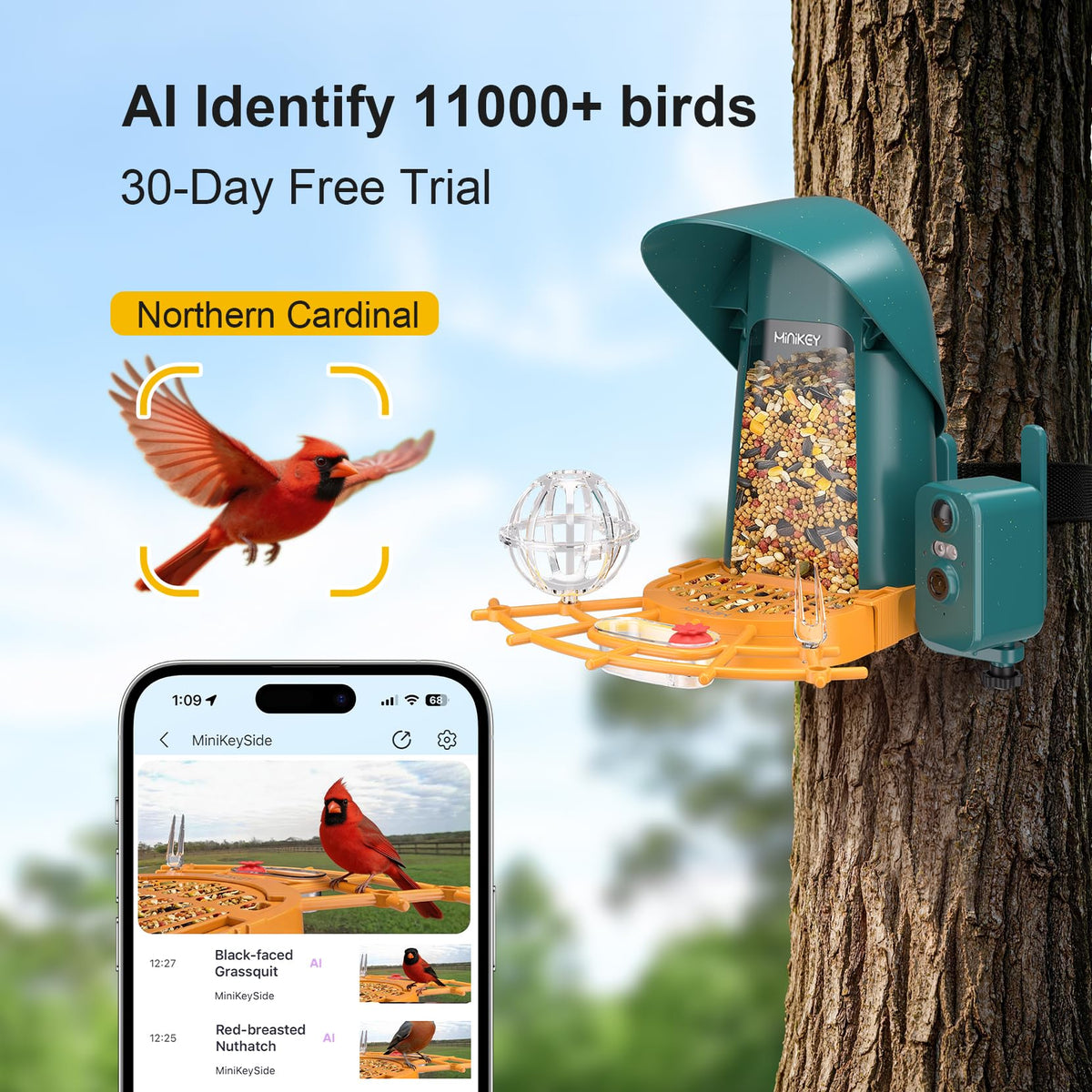 Minikey Smart Bird Feeder AI species ID identifies local birds.