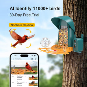 Minikey Smart Bird Feeder AI species ID identifies local birds.