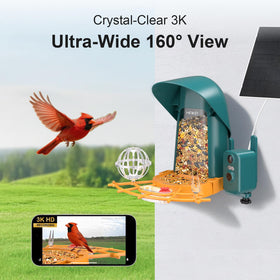 Minikey Smart Bird Feeder cloud storage for event photos.