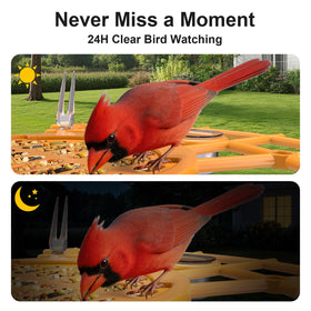 Minikey Smart Bird Feeder IP65 weatherproof for year round use.