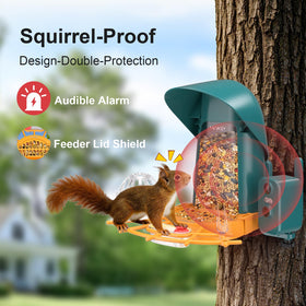 Minikey Smart Bird Feeder solar panel powers outdoor watching.