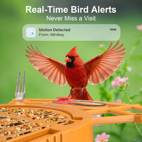 Minikey Smart Bird Feeder two way audio helps deter intruders.