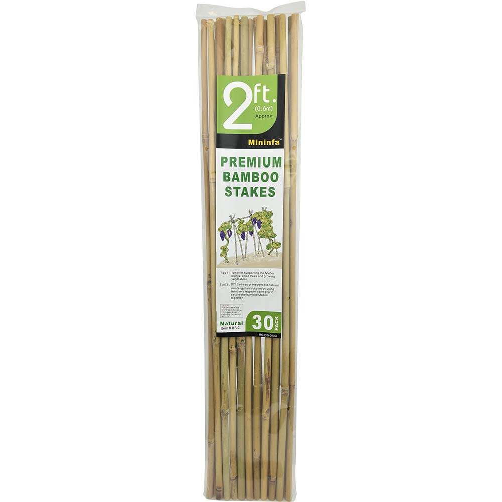 Mininfa 30-pack bamboo stakes offer ample supply for seasonal beds