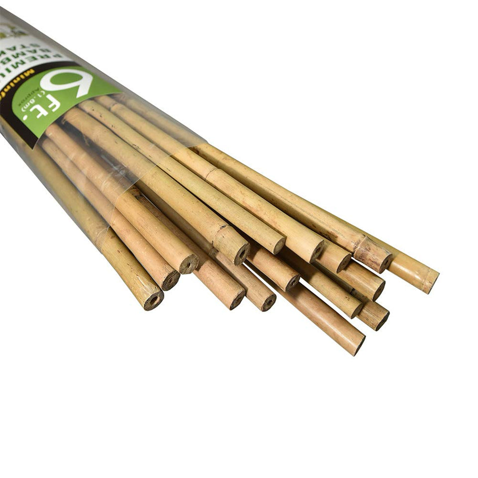 Mininfa bamboo stake 6ft pack provides sturdy plant support.