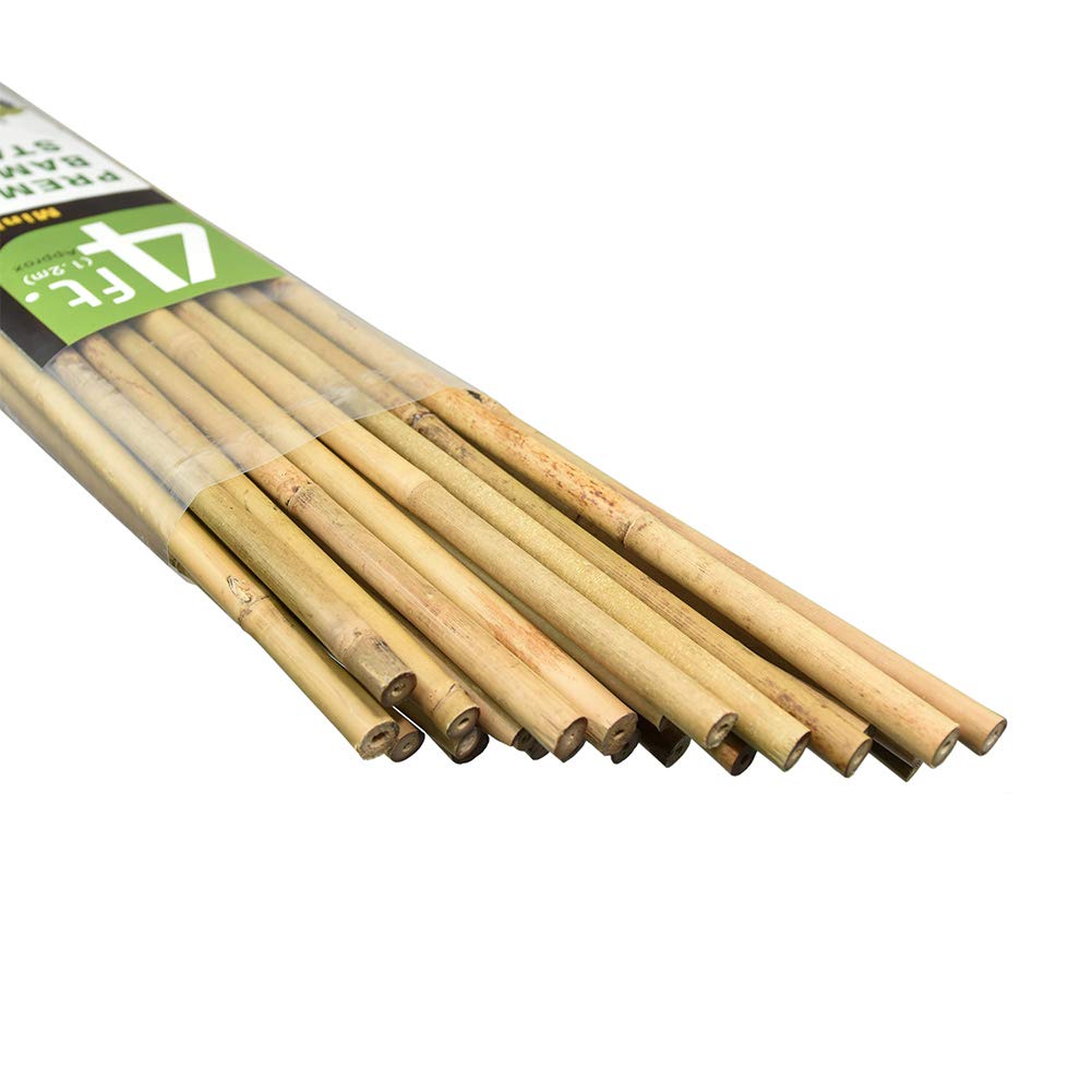 Mininfa bamboo stakes 4ft pack supporting climbing tomatoes and beans