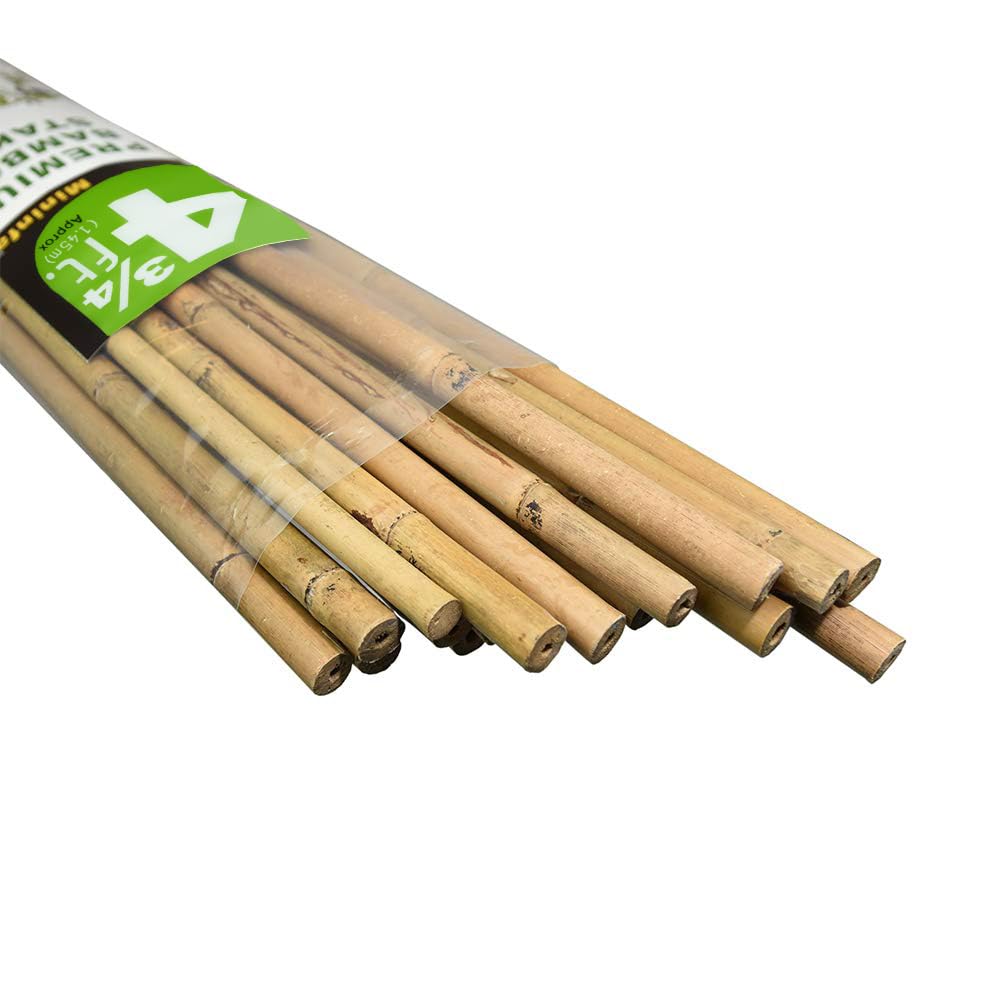 Mininfa bamboo stake 57inch pack provides sturdy tomato plant support.