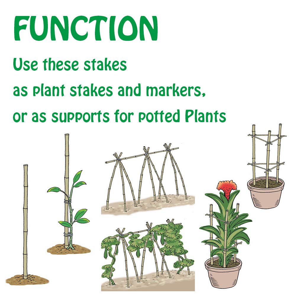Mininfa eco-friendly bamboo stakes showcase natural durability