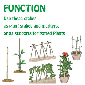 Mininfa eco-friendly bamboo stakes showcase natural durability