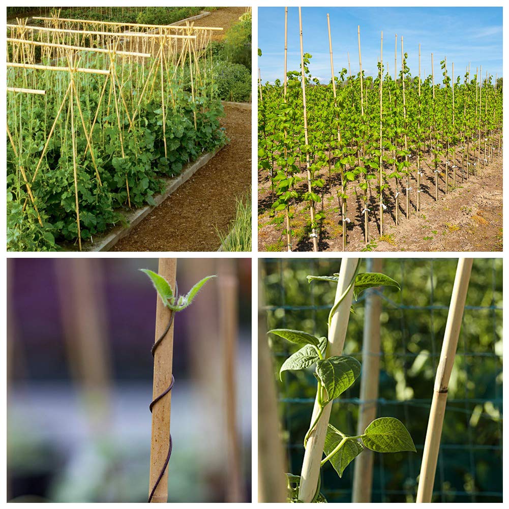Mininfa bamboo stakes used as garden markers for crops