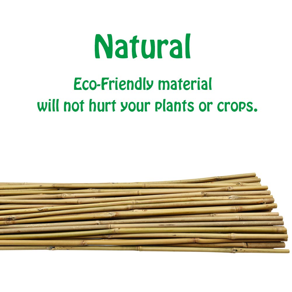 Mininfa bamboo stakes being installed in soft soil for sturdy support