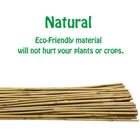 Mininfa bamboo stakes being installed in soft soil for sturdy support