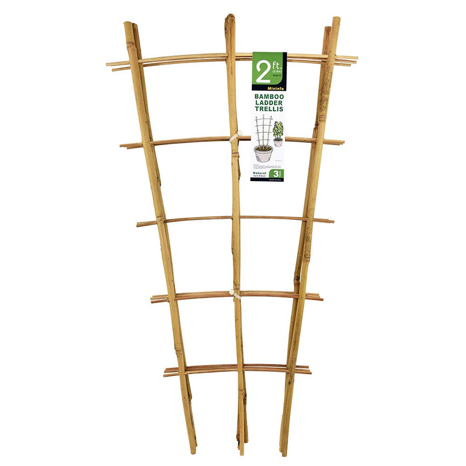 Mininfa bamboo trellis 24-inch ladder for climbing plants and tomato vines outdoors.