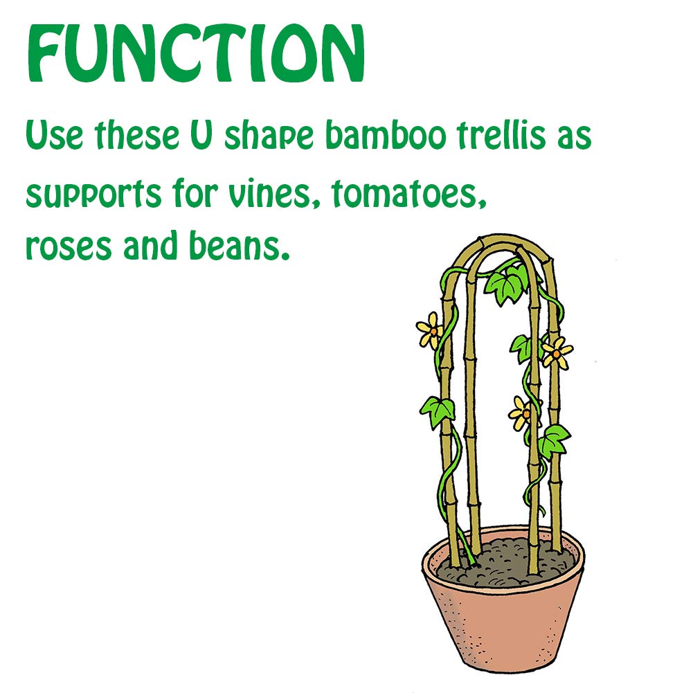 Mininfa climbing-plants support ideal for roses, cucumbers, and beans.