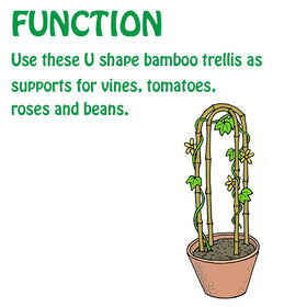 Mininfa climbing-plants support ideal for roses, cucumbers, and beans.
