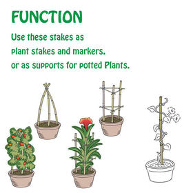 Mininfa easy-installation stakes simplify garden setup and staking