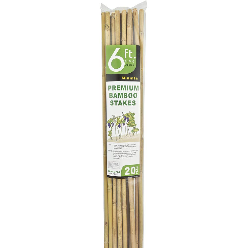 Mininfa eco-friendly garden stakes promote sustainable planting.
