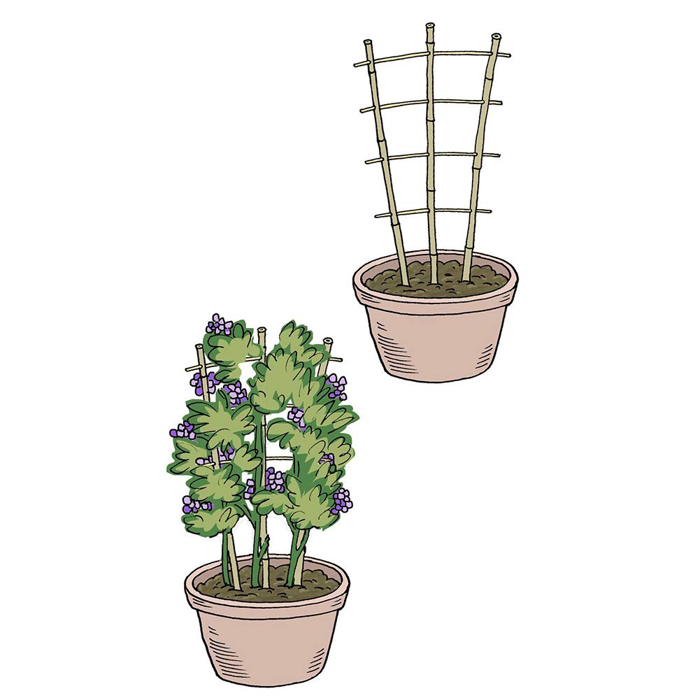 Heat-treated bamboo ensures sturdy, long-lasting garden decor and dependable plant support.
