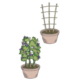 Heat-treated bamboo ensures sturdy, long-lasting garden decor and dependable plant support.