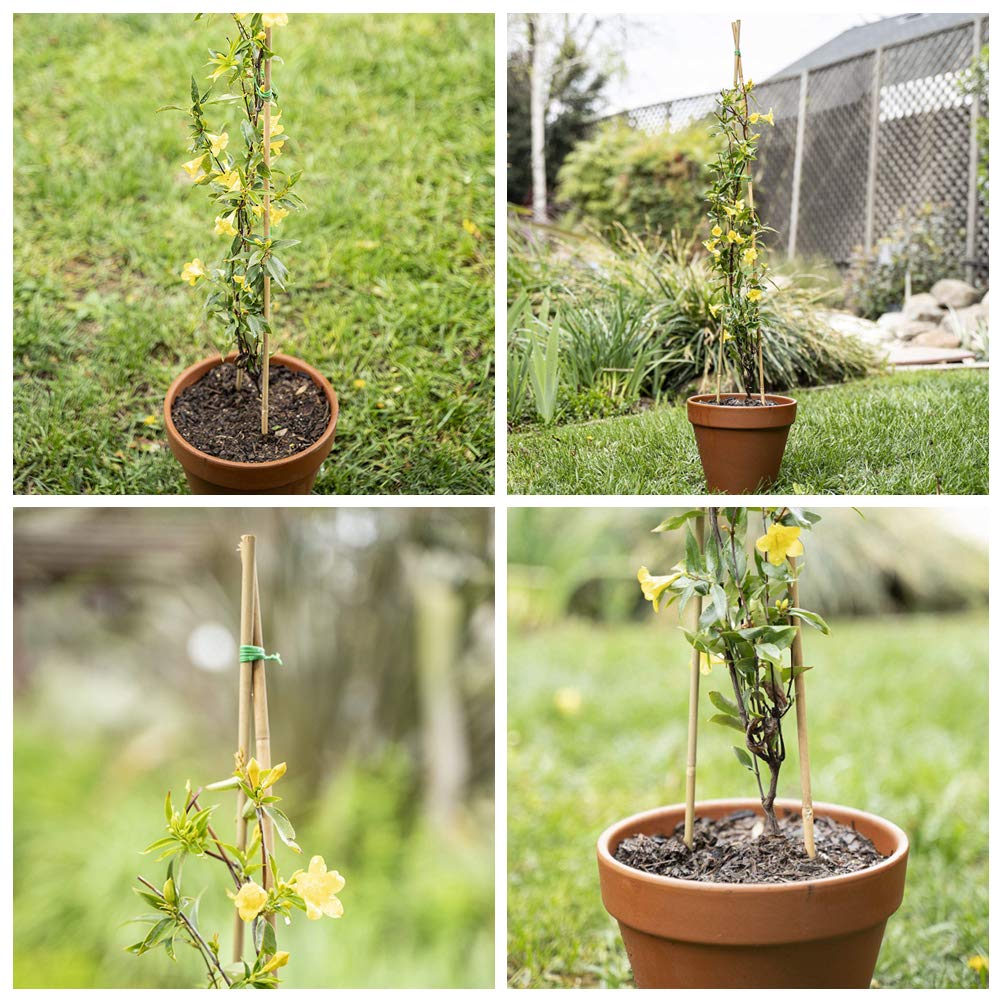 Mininfa heat-treated bamboo resists weather for long-lasting use