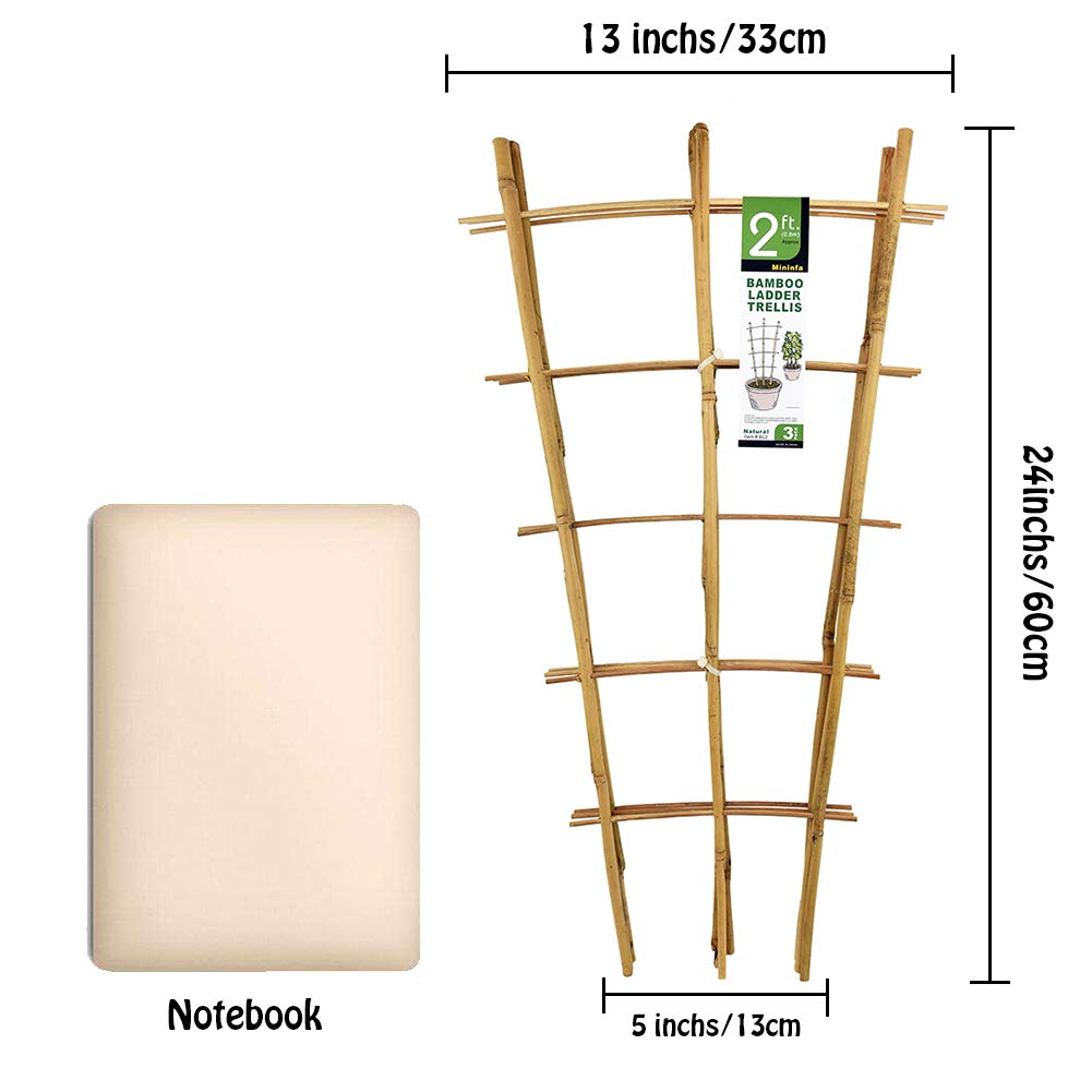 Three-piece bamboo trellis provides decorative height and flexible arrangement in small gardens.