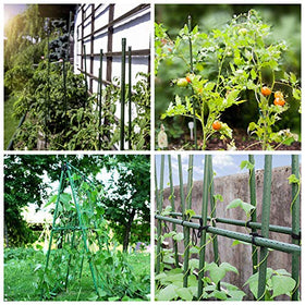 Mininfa weather-resistant coating protects stakes from sun and rain.