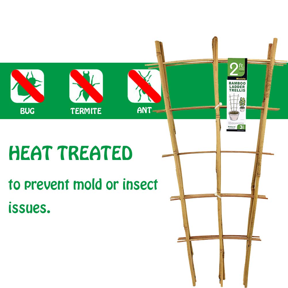 Mininfa trellis set installs easily by staking into soil or securing to walls.