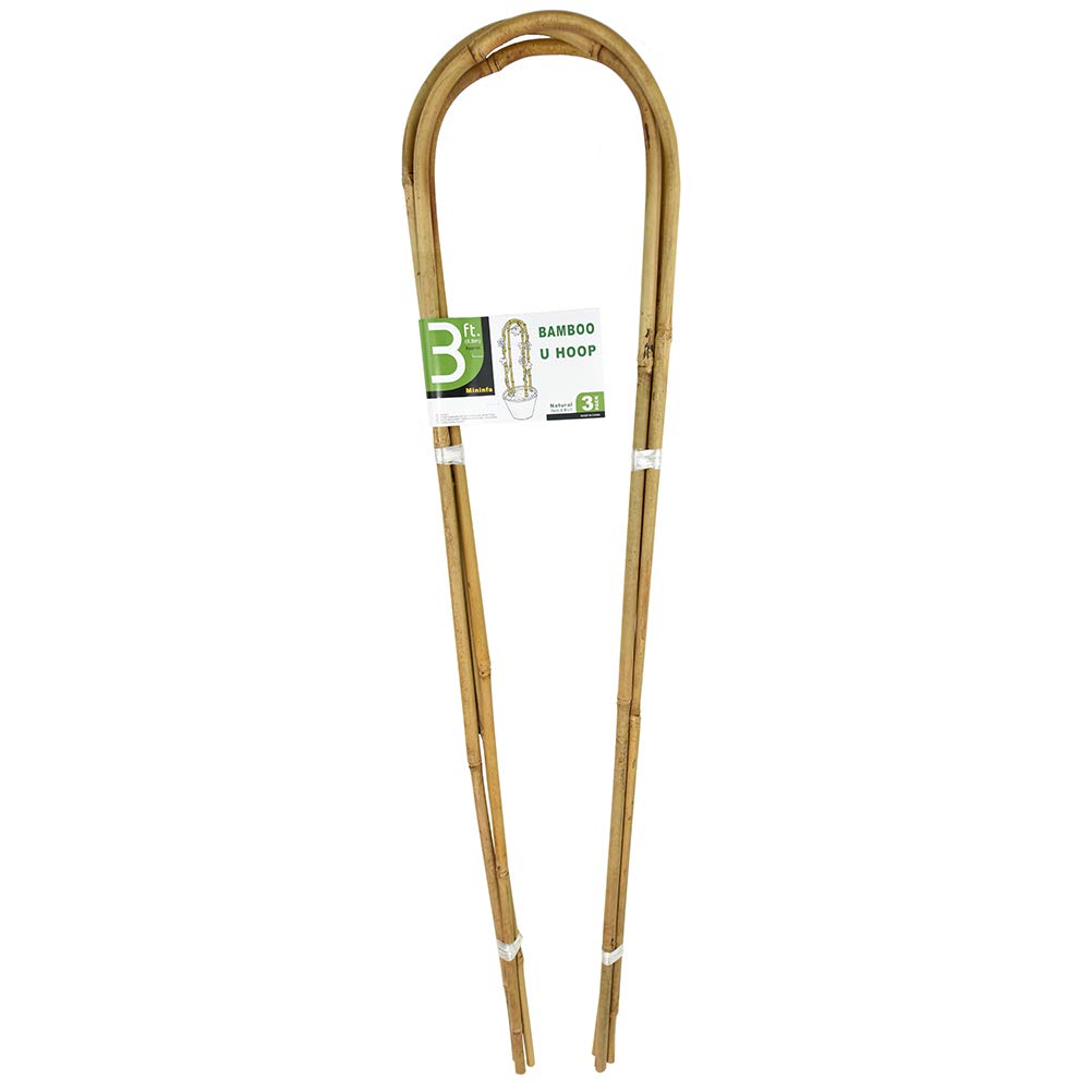 Mininfa U-Hoops bamboo trellis provides sturdy 3ft support for climbing tomatoes and beans.