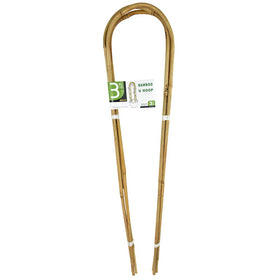 Mininfa U-Hoops bamboo trellis provides sturdy 3ft support for climbing tomatoes and beans.