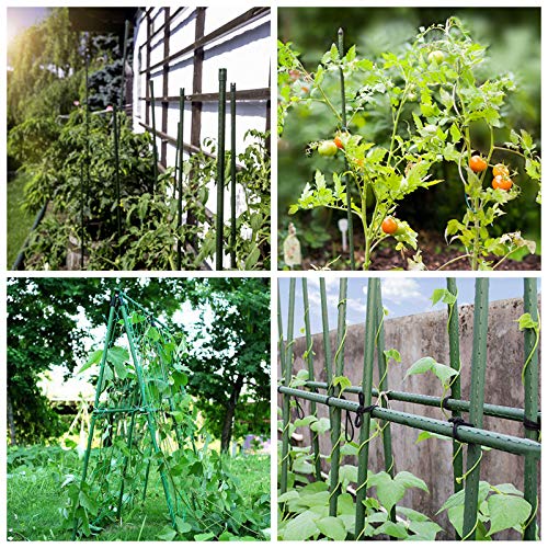 Mininfa weather-resistant stakes endure outdoor use across seasons