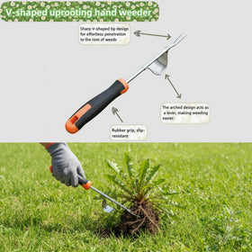 MINOVARA uprooting hand weeder with V shape eases stubborn weed extraction.