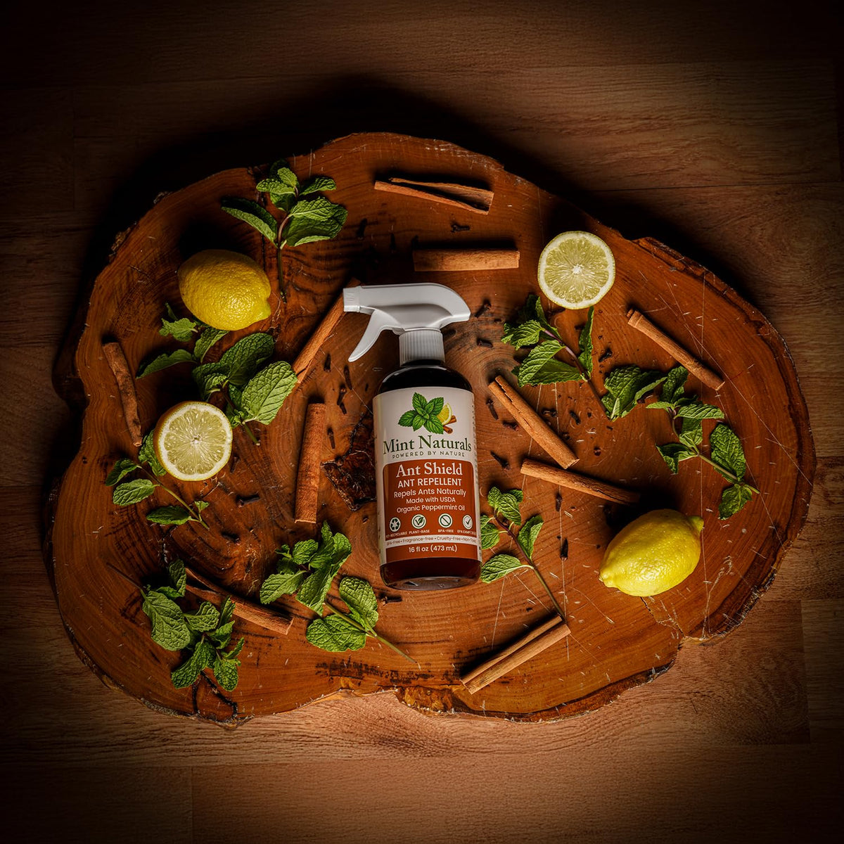 Mint Naturals spray at doorway entry point deters ants before entry