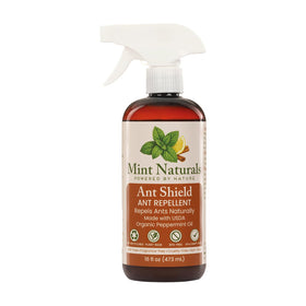 Mint Naturals ant repellent spray near kitchen baseboards deters ants naturally