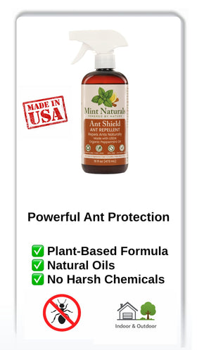 Mint Naturals peppermint oil bottle close-up highlights plant-based protection