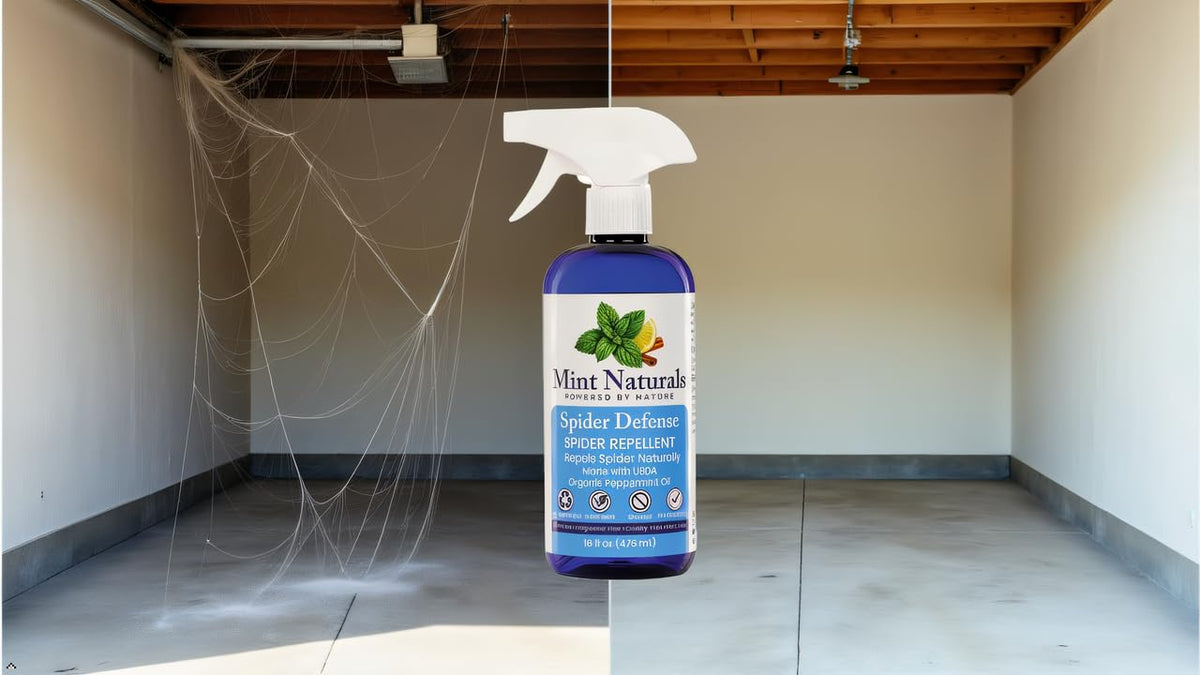Indoor and sheltered outdoor deterrent shown for versatile spaces