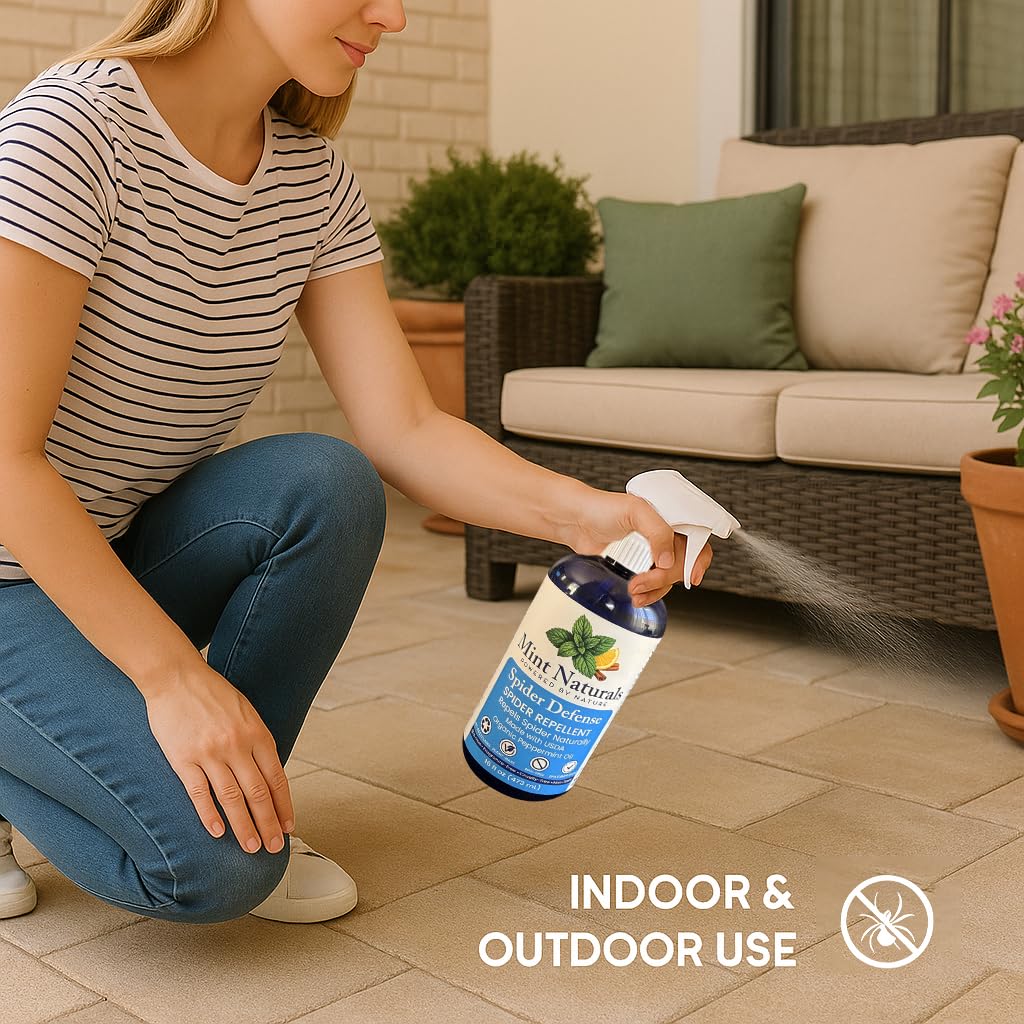 Mint aroma refreshing interior spaces while deterring common spiders