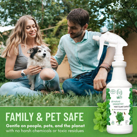 Minty USA-made premium ingredients emphasizing quality and domestic sourcing.