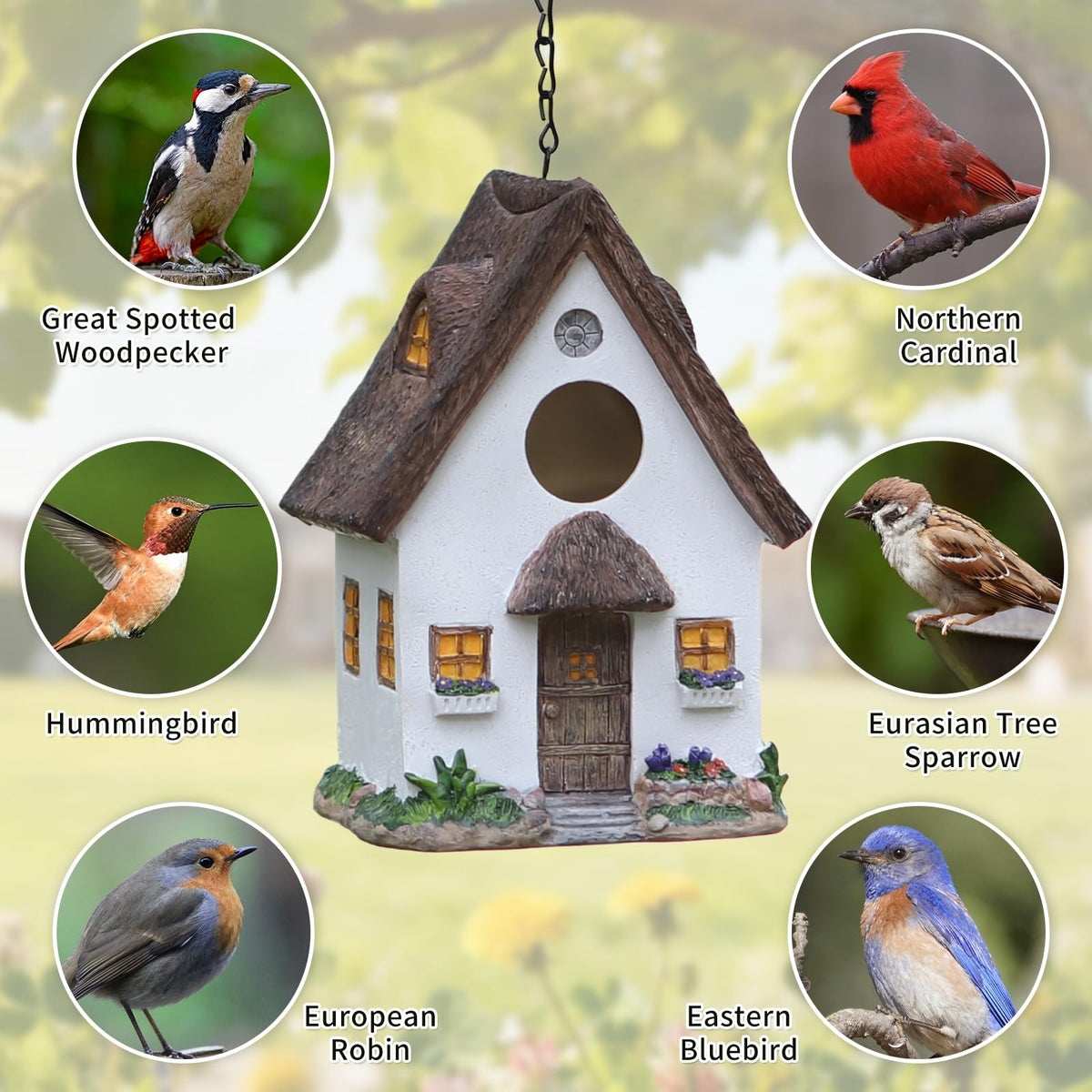 MINWOLF hanging-design resin bird house for easy garden display.
