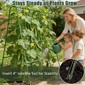 Miory ideal for cucumbers, beans, and peas in small spaces