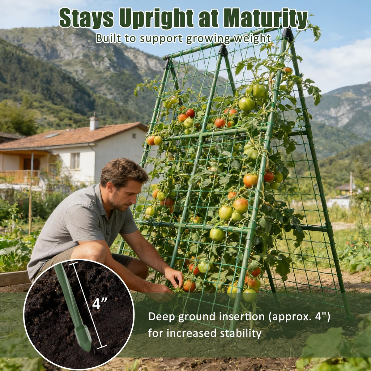 Miory organized outdoor garden with vertical plant support