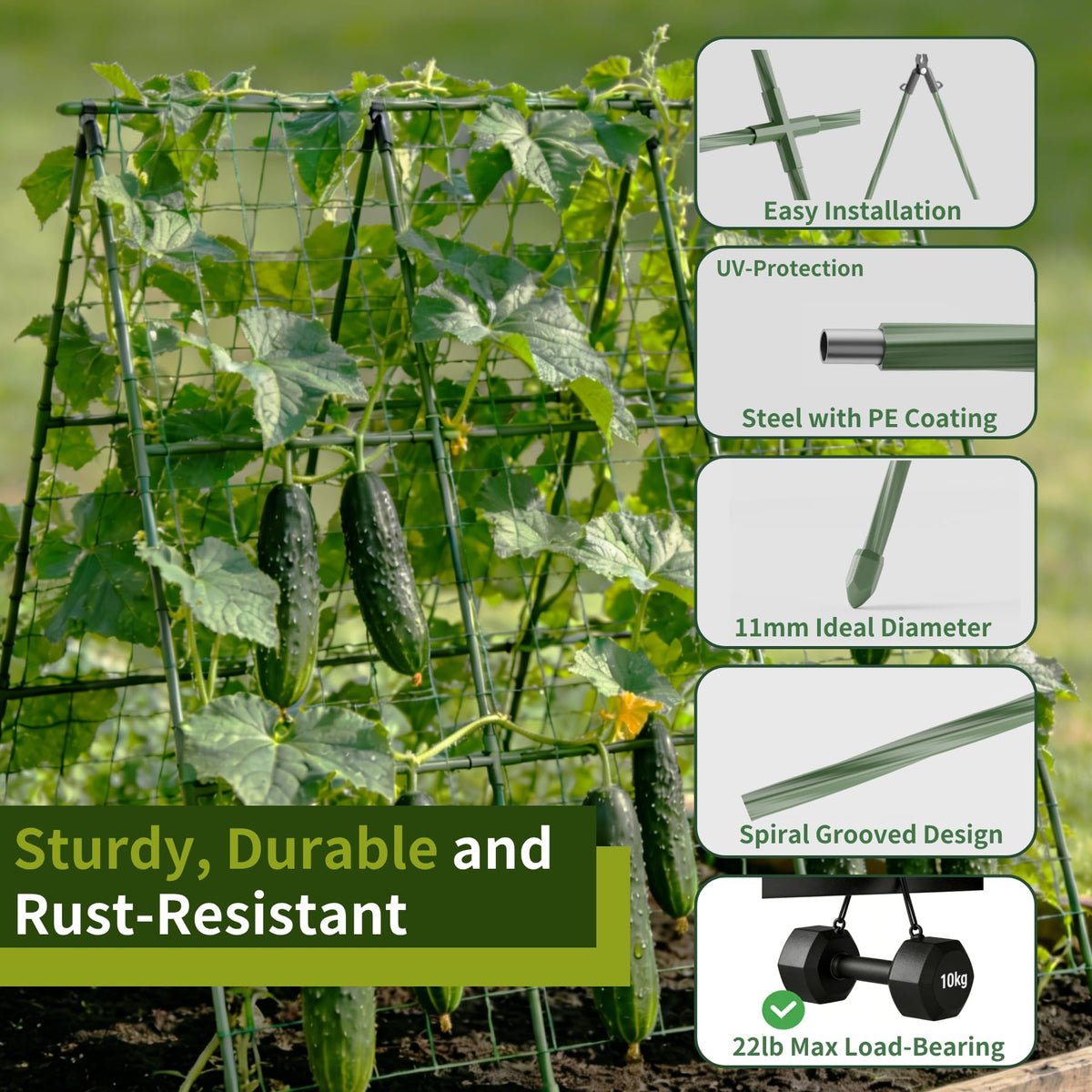 Miory reinforced A-frame provides stable support during heavy fruiting