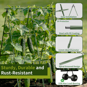 Miory reinforced A-frame provides stable support during heavy fruiting