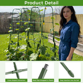 Miory steel with protective coating resists weather for multiple seasons