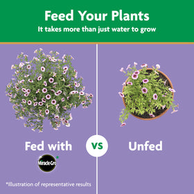 Miracle-Gro 10-52-10 formula: phosphorus boost to support flowering.