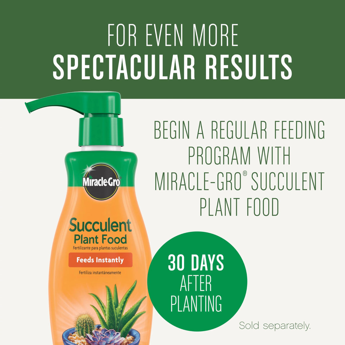  Miracle-Gro One 8-inch container ready with succulent soil.