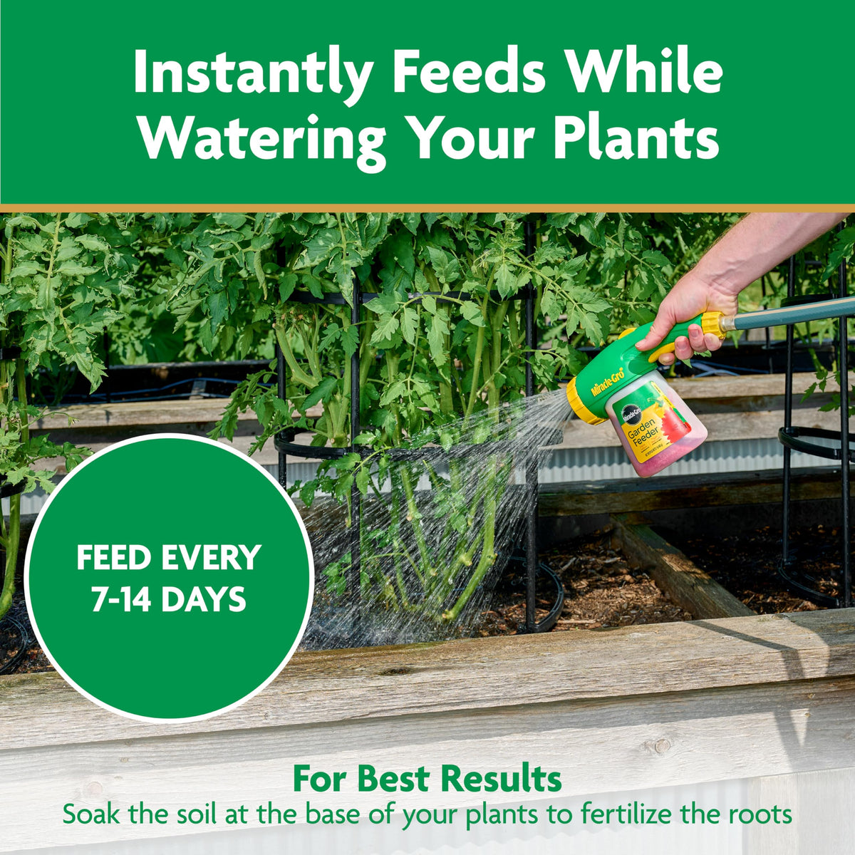 Miracle-Gro 2 lb box feeds about 800 sq ft