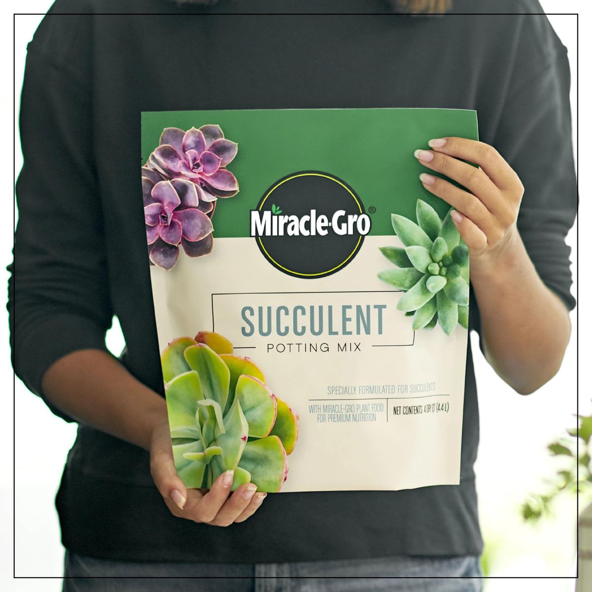  Miracle-Gro Aloe Vera planted with succulent mix for healthy roots.