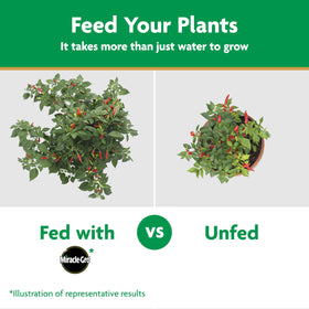 Miracle-Gro burn-free guarantee when used as directed