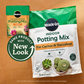 Pouring Miracle-Gro mix into a pot to start a fresh succulent arrangement.