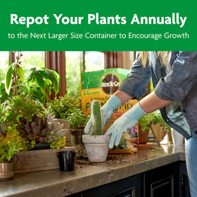 Forest-derived ingredients blended for a light, airy soil texture.