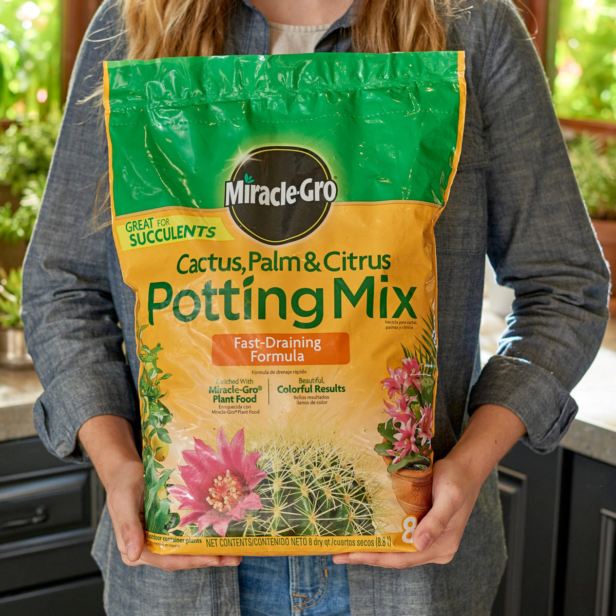 Root-ball placement into pot with fresh mix for citrus or succulents.
